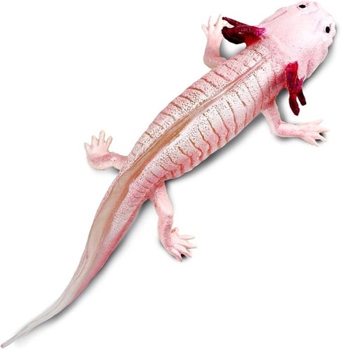 Axolotl 104650 figur safari - axolotl,