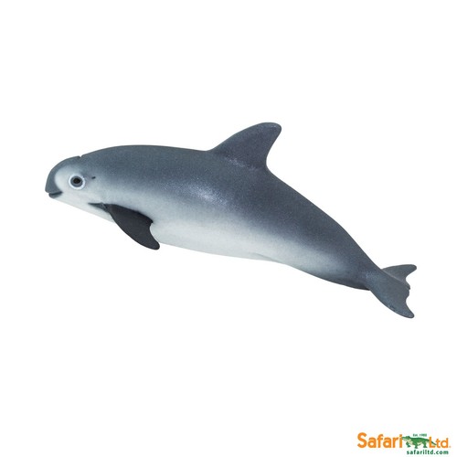 Safari ltd 100101 - ltd,