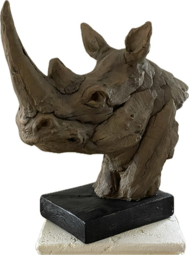 Nashornkopf büste nashorn - büste,