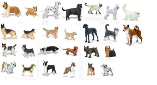 Safari hunde und katzen - safari,