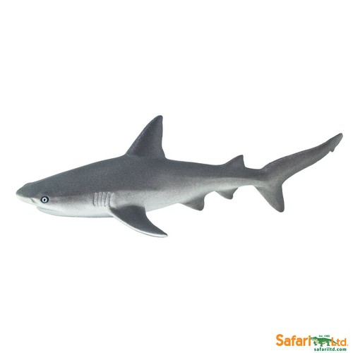 Safari ltd 100099 grauer - safari,